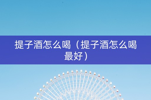 提子酒怎么喝（提子酒怎么喝最好）