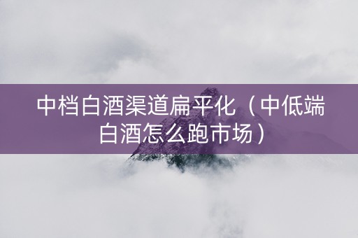 中档白酒渠道扁平化（中低端白酒怎么跑市场）